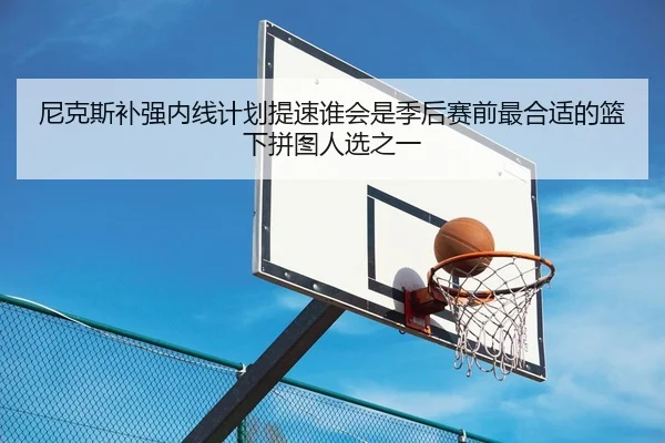 尼克斯补强内线计划提速谁会是季后赛前最合适的篮下拼图人选之一